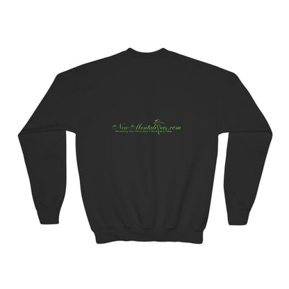 I'm Too Cool for a Car Note Youth Sweatshirt - Debt free and Financial Freedom Apparel