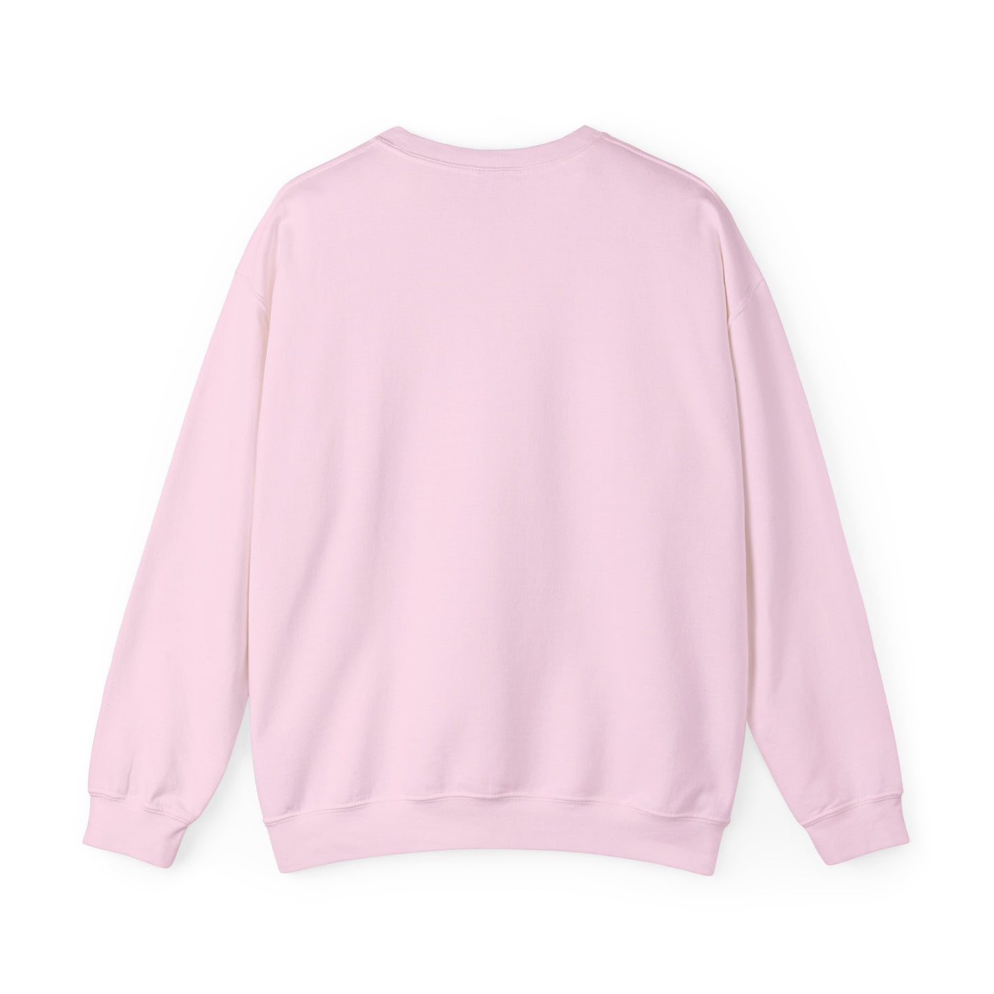 Debt Free Future Unisex Sweatshirt - Faith, Financial Freedom Affirmation & Abundance Pullover